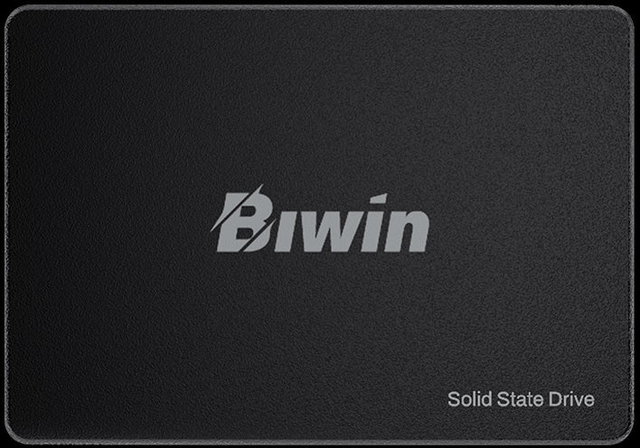 BIWIN M100-1TB SATA 2.5 up to 550MB/s & 500MB/s BM100NN01TB-RGX - 3-Year Warranty
